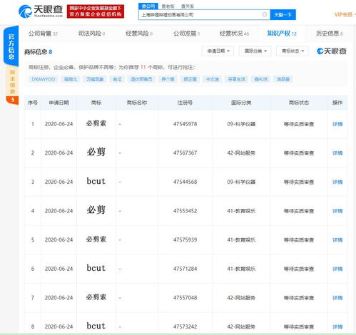 B站推出“必剪”APP，計算機軟硬件技術(shù)開發(fā)助力對標(biāo)抖音剪映